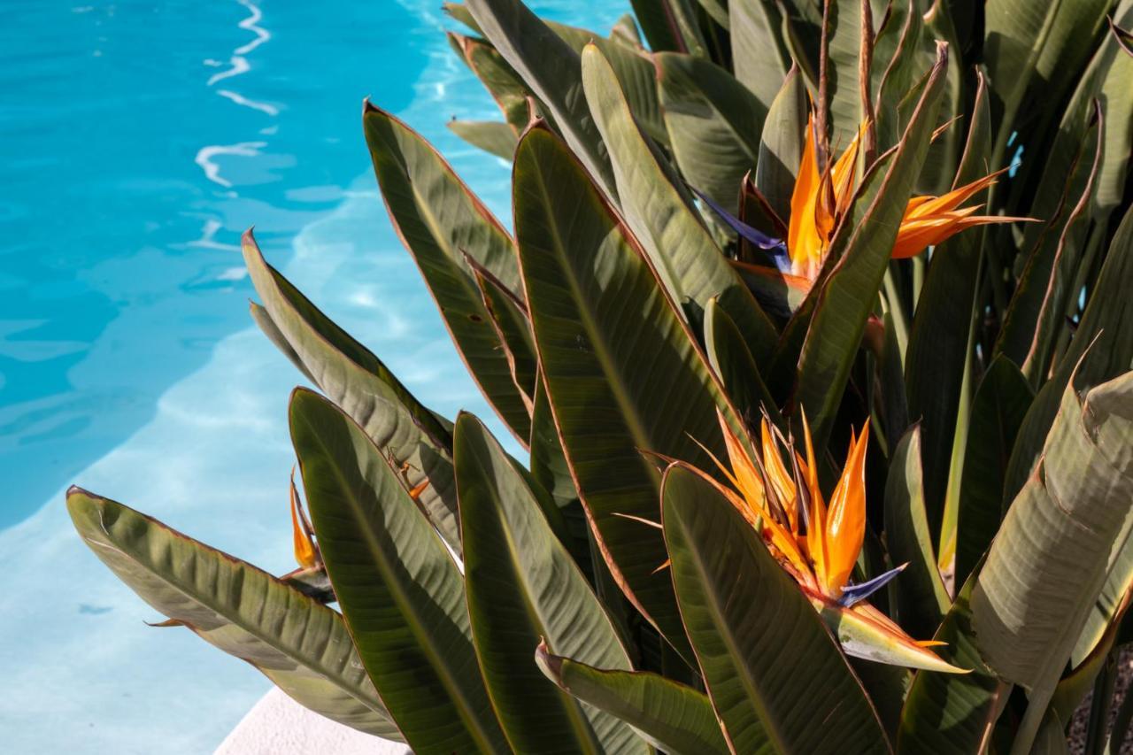 Nazaret Mansion Hotel Costa Teguise Exterior photo